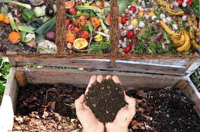 Home Composting Guide